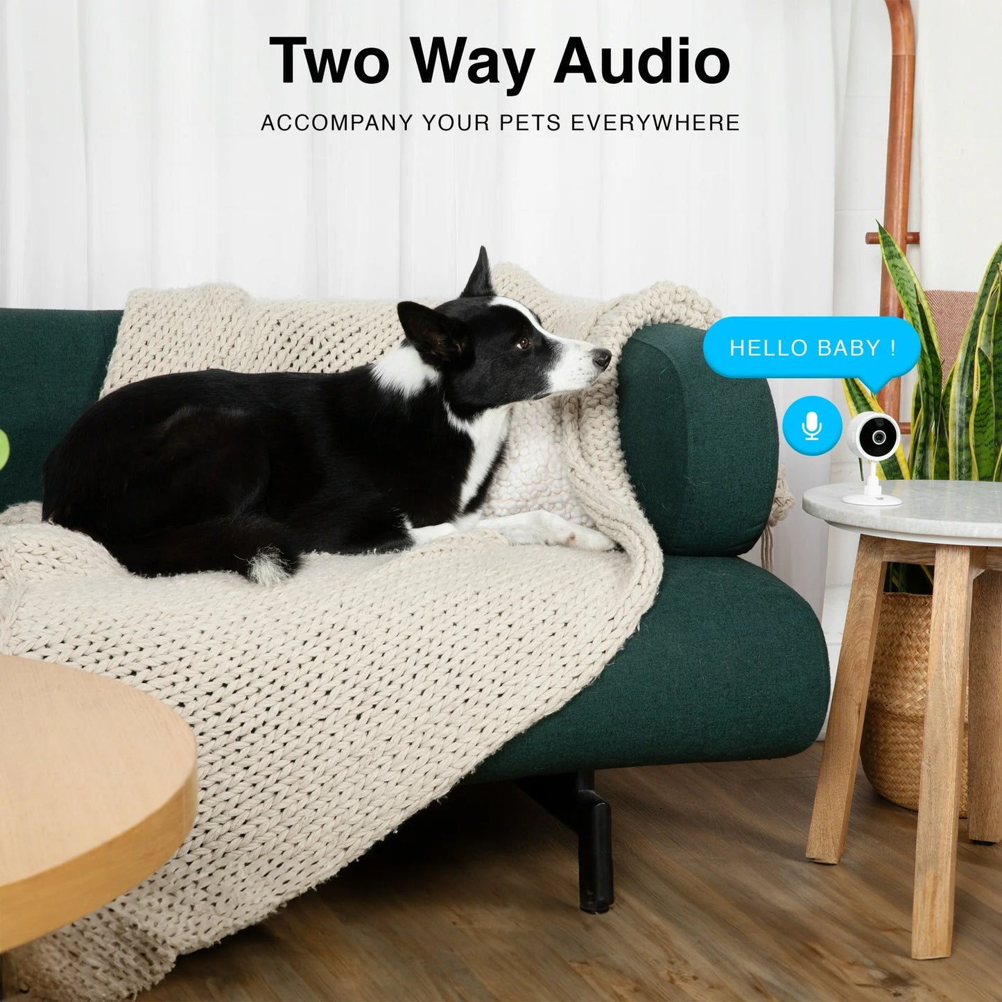 Instachew Purrsight Mini HD WiFi Pet Camera