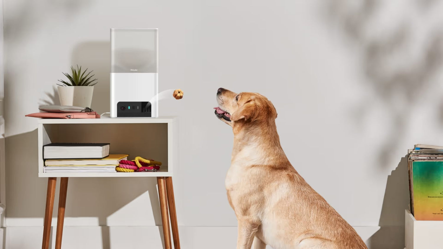 Smart Feeding Systems