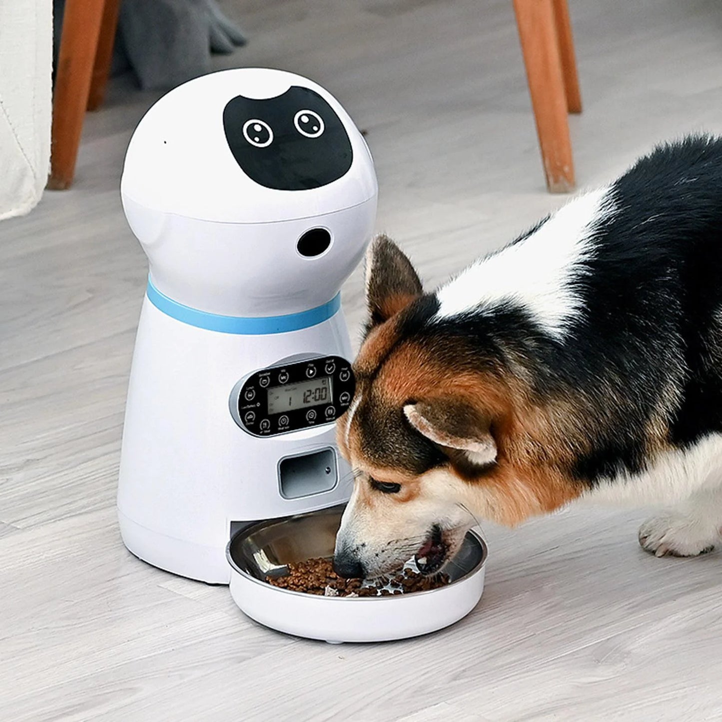 Automatic Timed Pet Feeder with Voice Recording