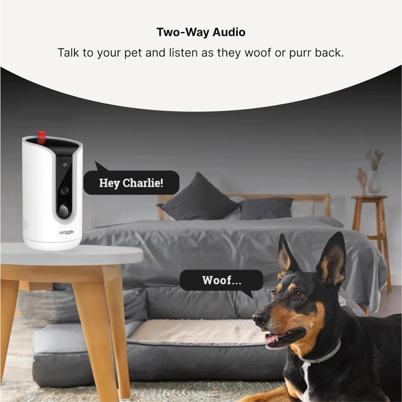 WaggleCam 2K Pet Camera with Treat Dispenser