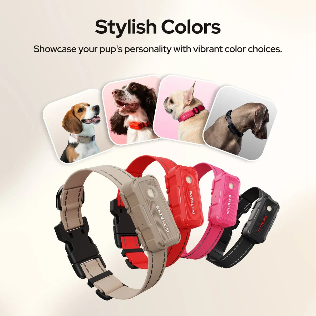 SATELLAI Collar Go GPS Smart Dog Collar