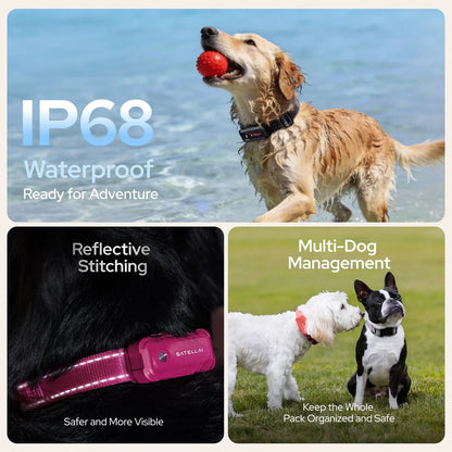 SATELLAI Collar Go GPS Smart Dog Collar