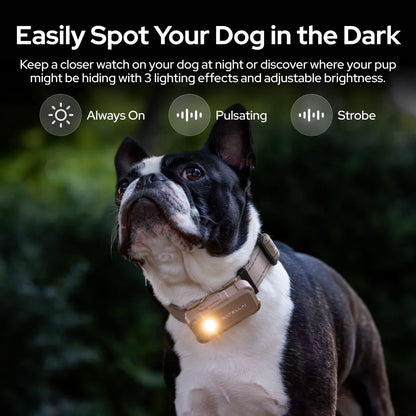 SATELLAI Collar Go GPS Smart Dog Collar