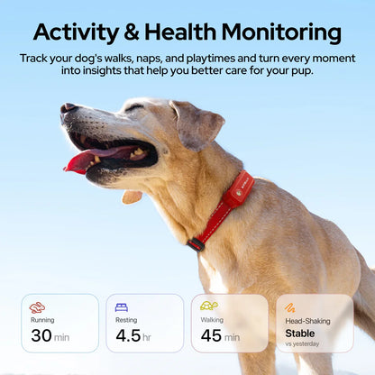 SATELLAI Collar Go GPS Smart Dog Collar