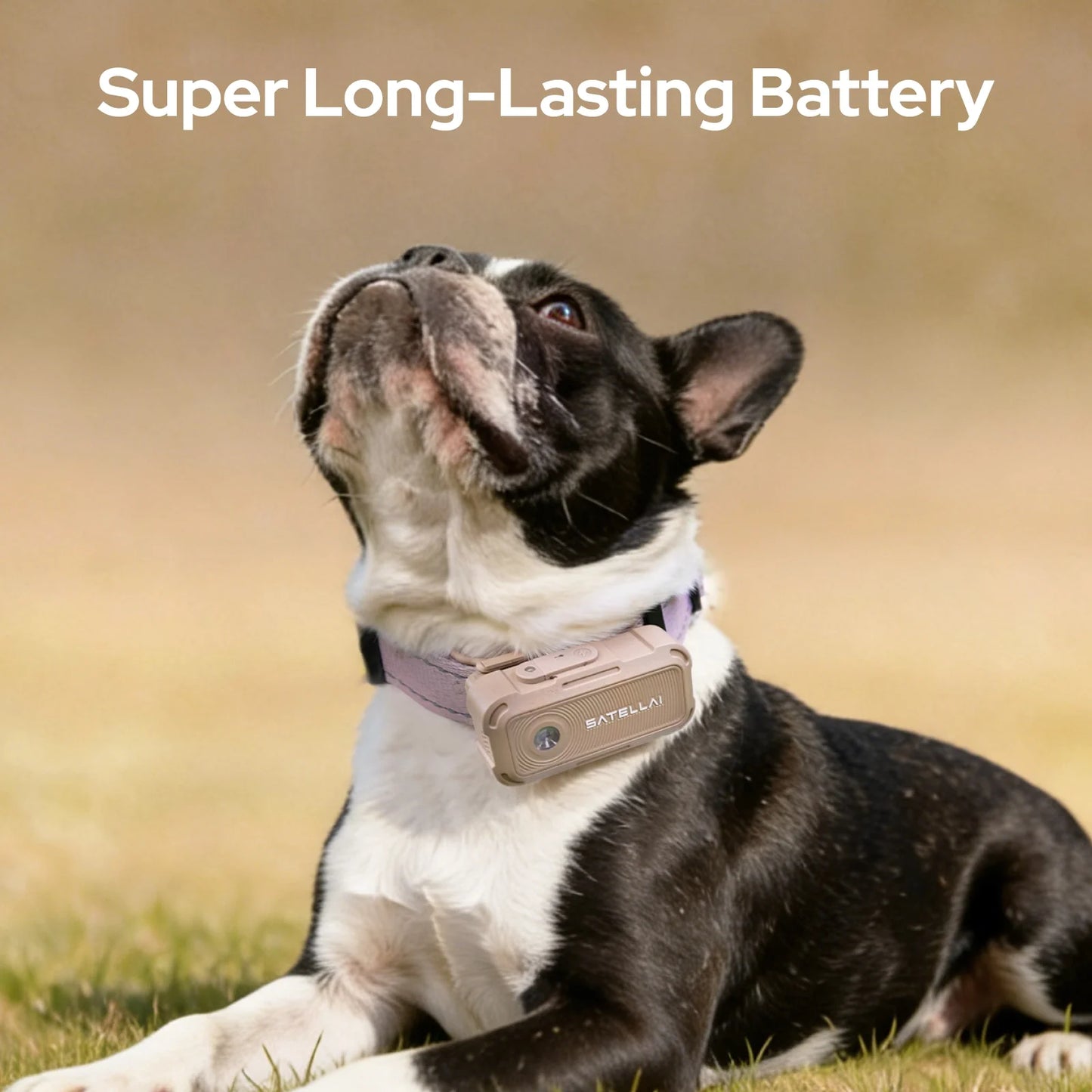SATELLAI Collar Go GPS Smart Dog Collar