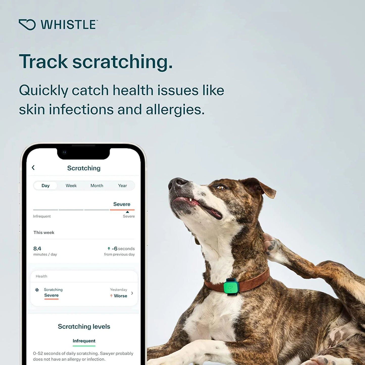 Whistle Health Smart Dog Tracker