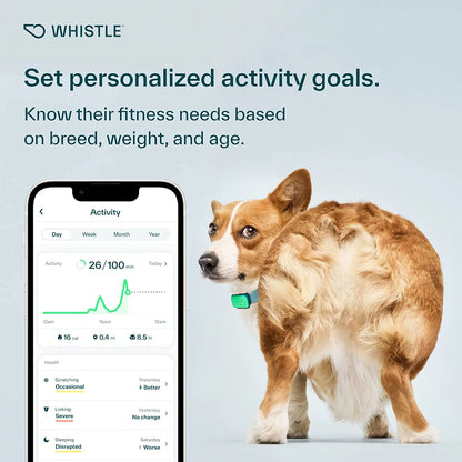 Whistle Health Smart Dog Tracker
