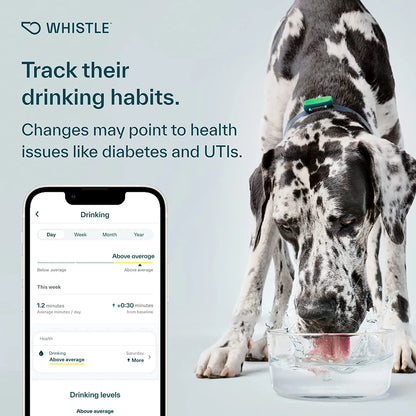 Whistle Health Smart Dog Tracker