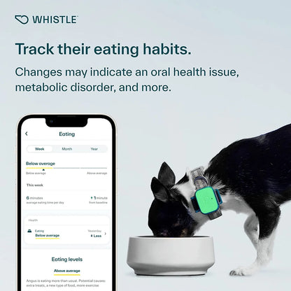 Whistle Health Smart Dog Tracker