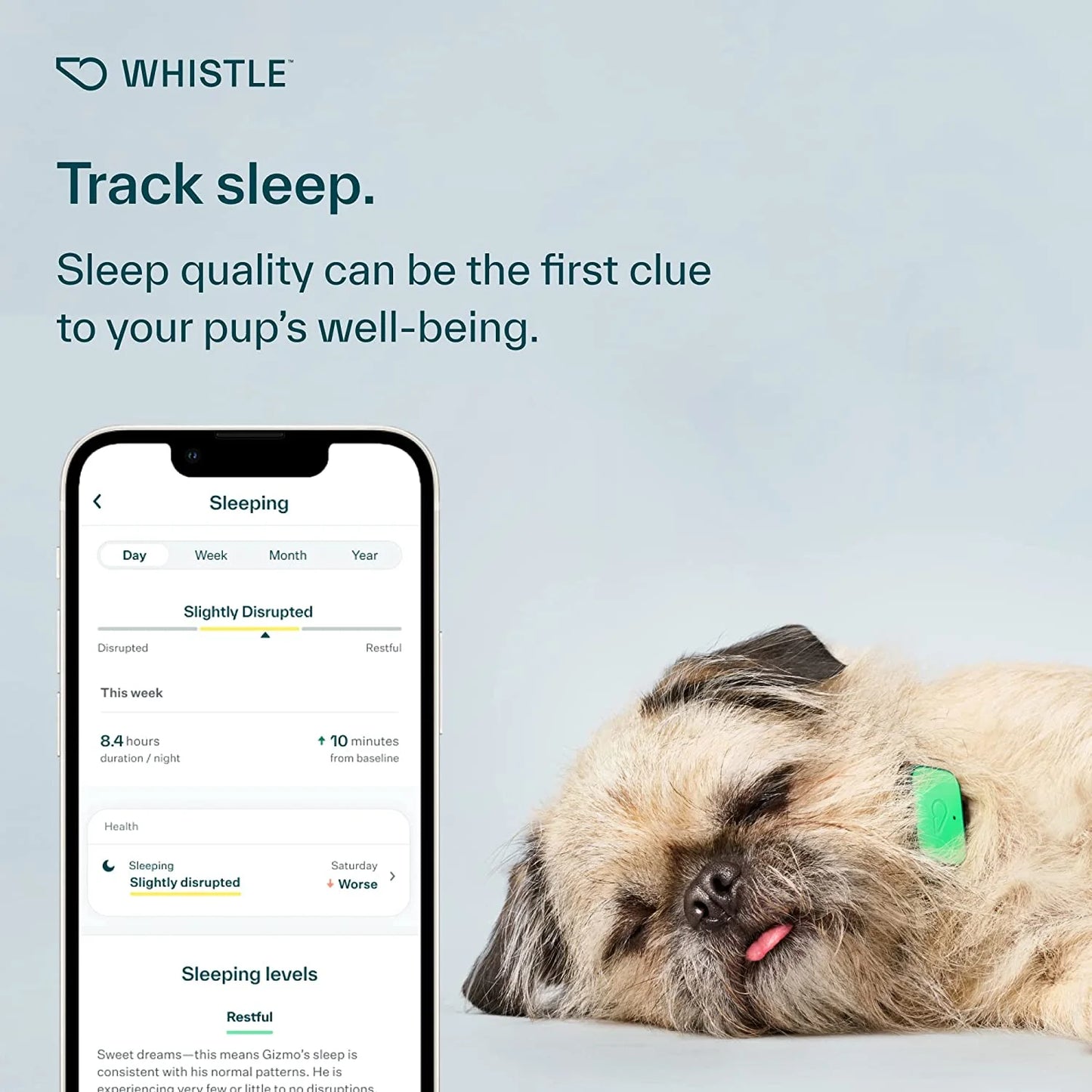 Whistle Health Smart Dog Tracker