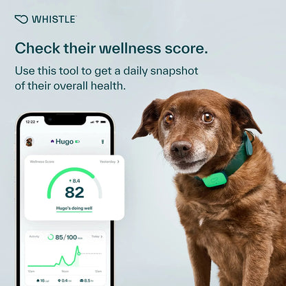 Whistle Health Smart Dog Tracker