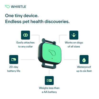 Whistle Health Smart Dog Tracker