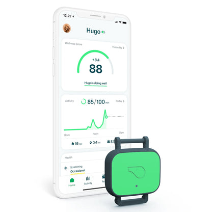 Whistle Health Smart Dog Tracker