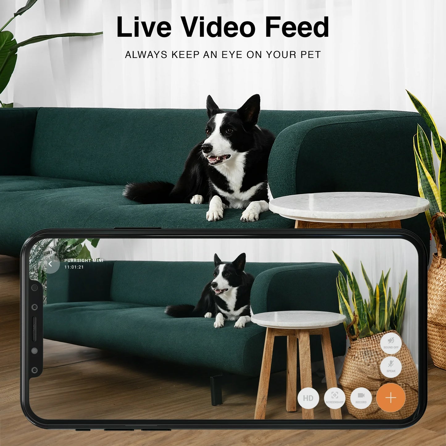 Instachew Purrsight Mini HD WiFi Pet Camera