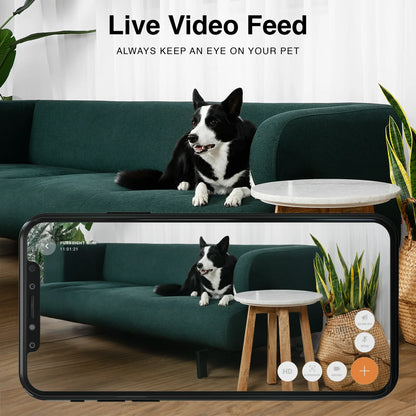 Instachew Purrsight Mini HD WiFi Pet Camera